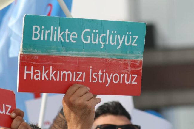 WhatsApp Image 2024-01-03 at 12.30.29